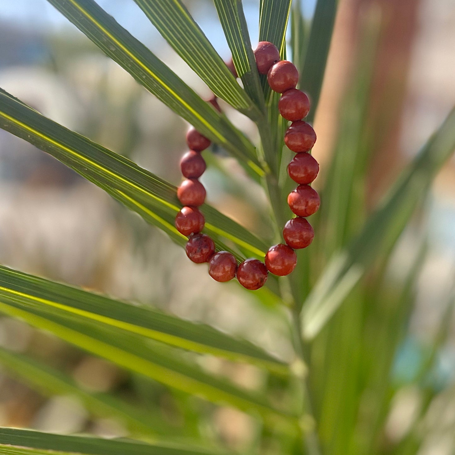Jaspe rouge - Ancrage