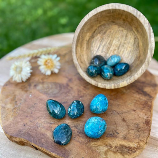 Apatite Créativité / Communication
