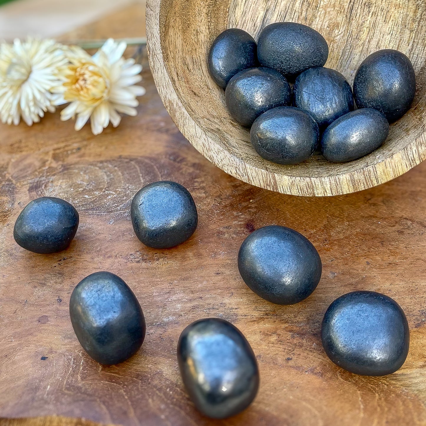 Shungite - Protection / Ancrage