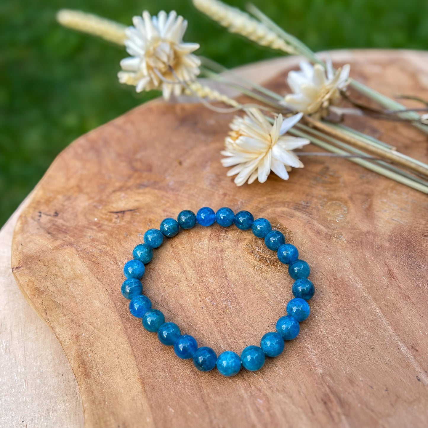 Apatite Intuition/ Expression