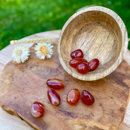 Cornaline - Plaisir / Emotion