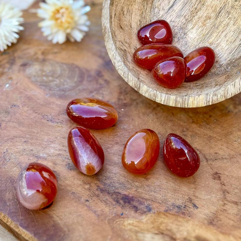 Cornaline - Plaisir / Emotion