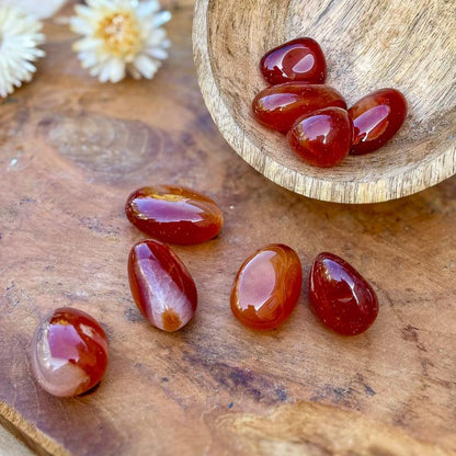 Cornaline - Plaisir / Emotion